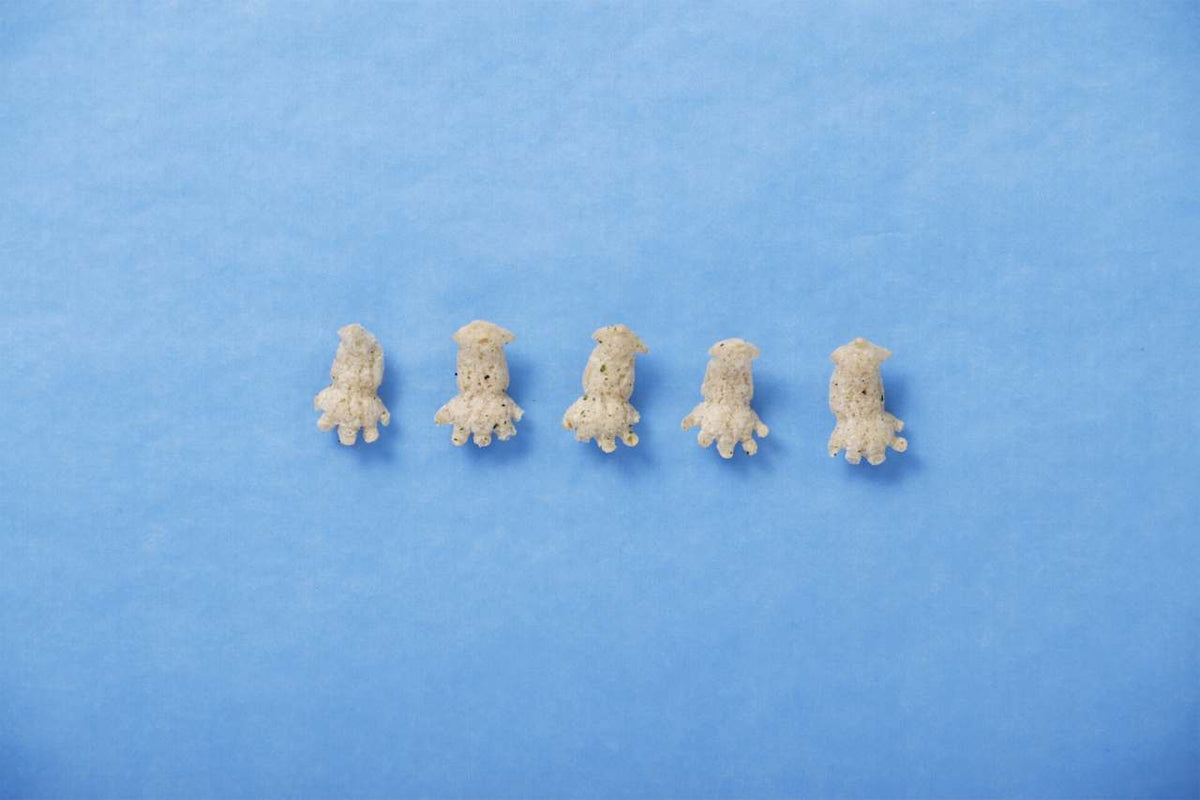 メイシーちゃん（TM）のおきにいり うみのおさんぽ9G×4